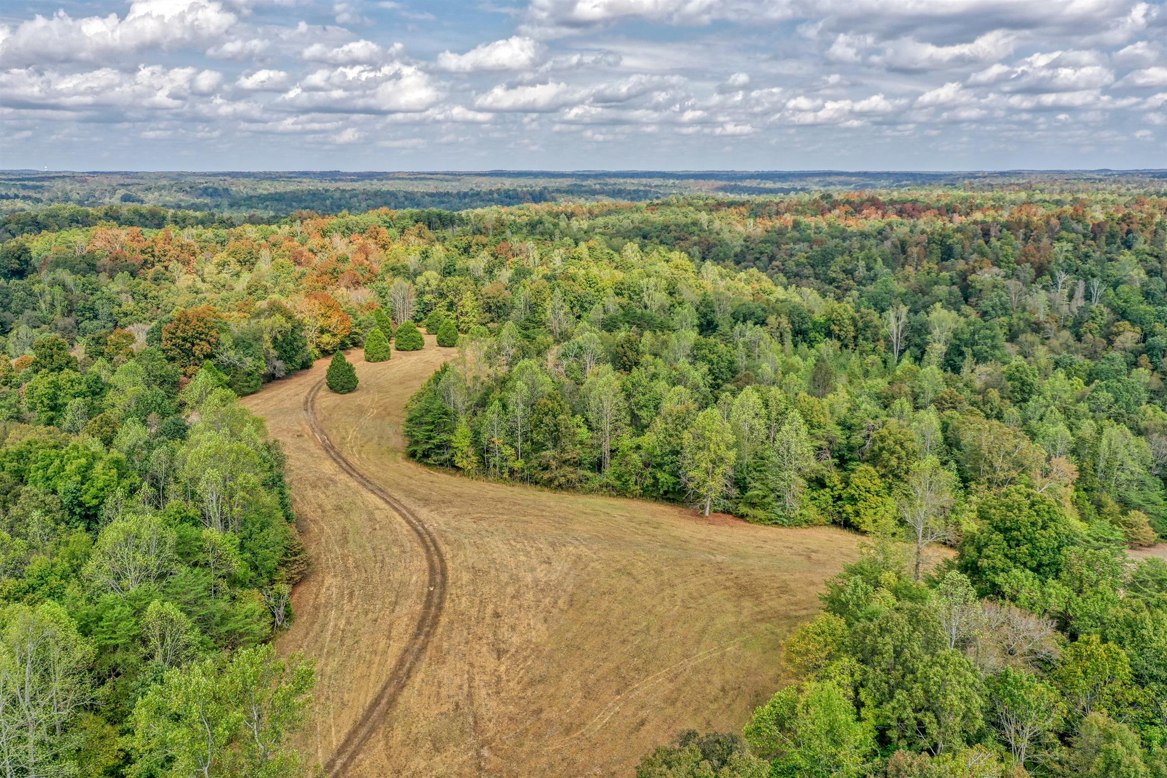 8486 Tom Patton Road Lyles, TN 37098 - Photo 19 of 30