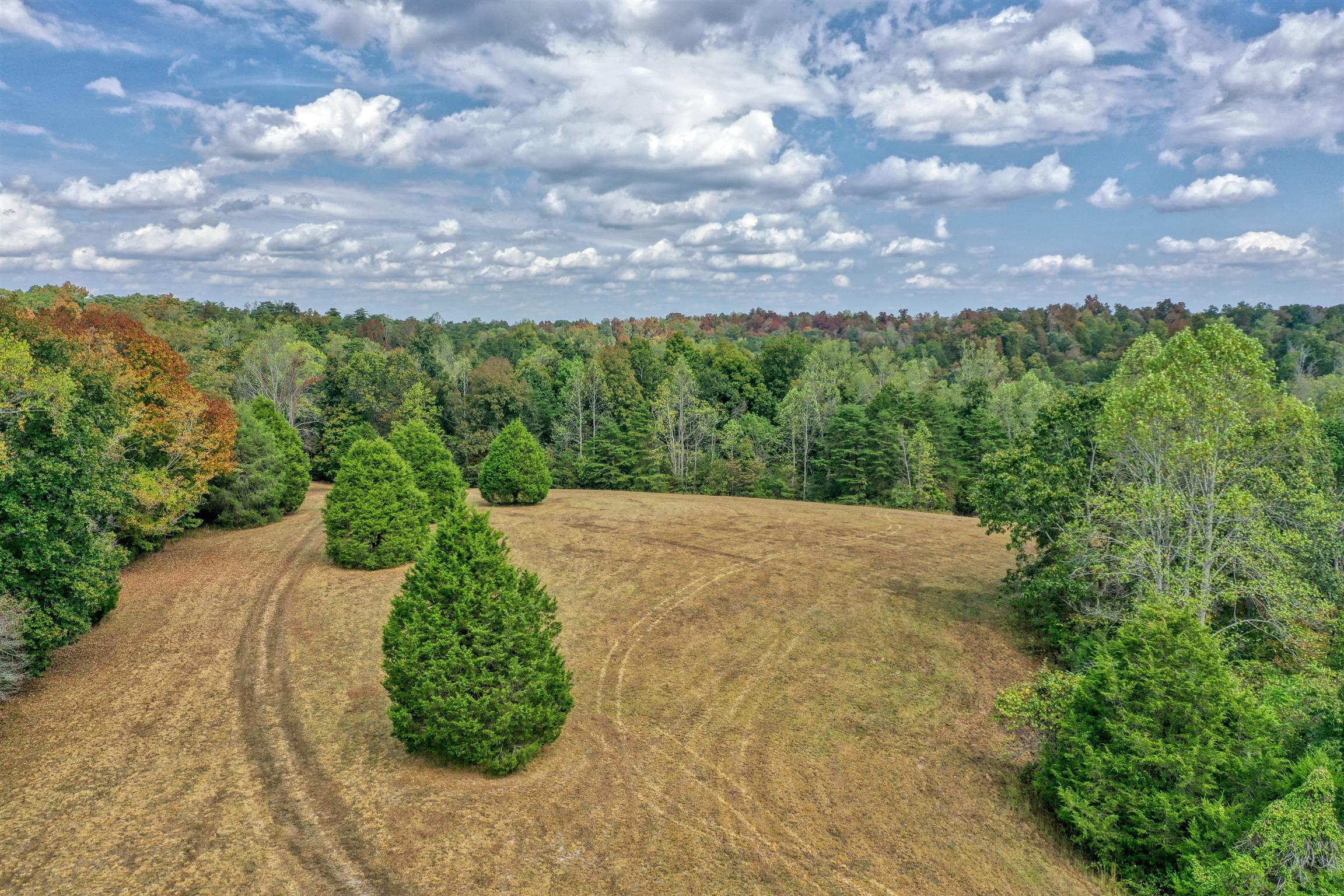 8486 Tom Patton Road Lyles, TN 37098 - Photo 20 of 30