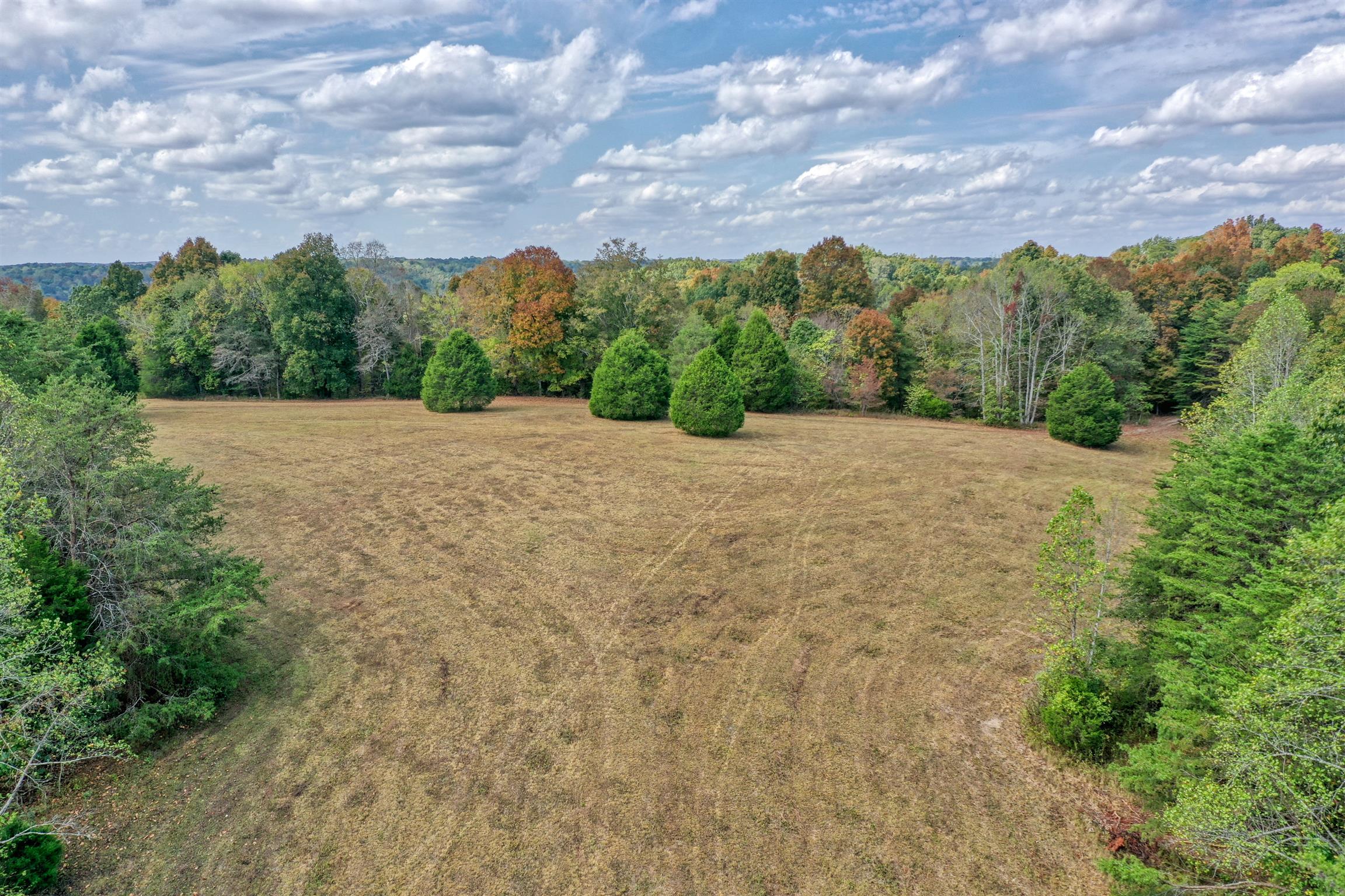8486 Tom Patton Road Lyles, TN 37098 - Photo 21 of 30