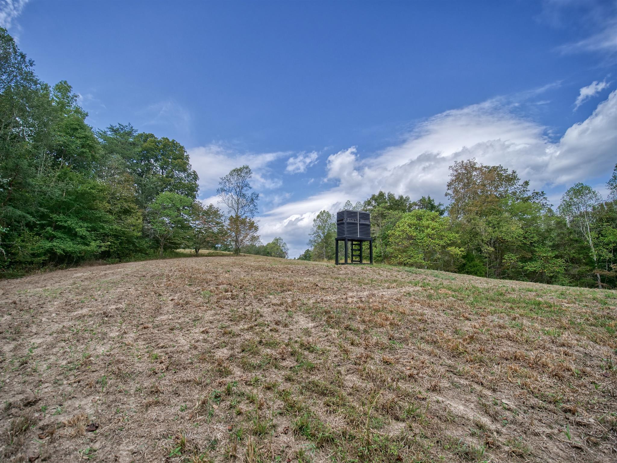 8486 Tom Patton Road Lyles, TN 37098 - Photo 22 of 30