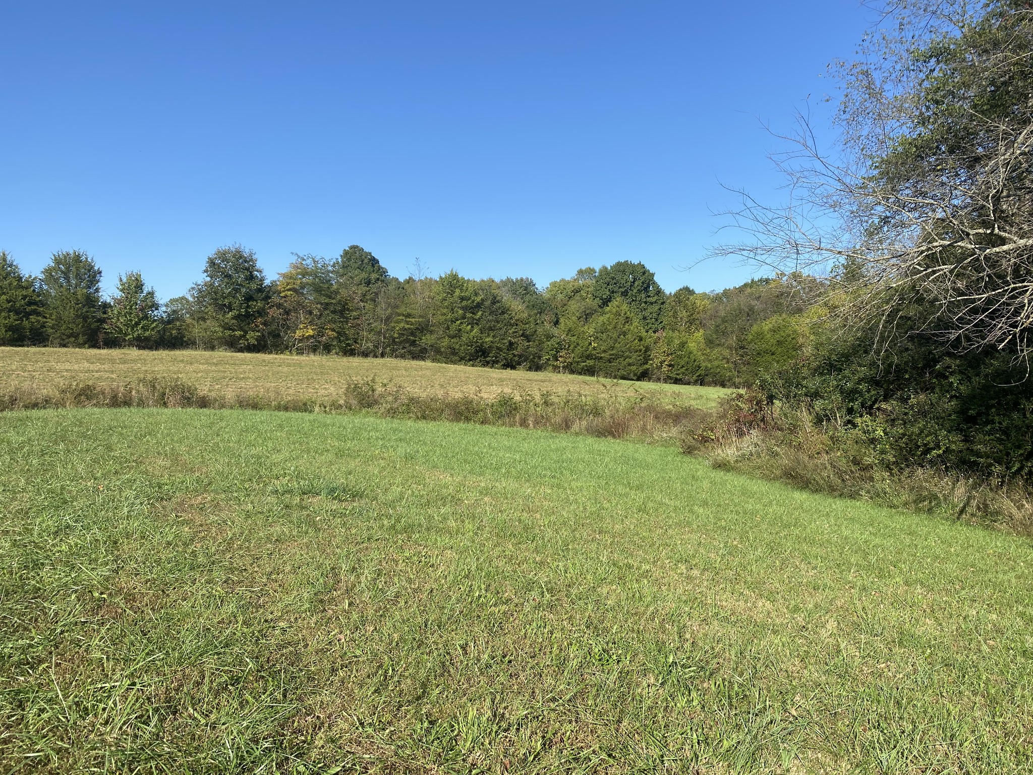 0 Dorris Road Portland, TN 37148 - Photo 5 of 24 a view of an outdoor space and a yard