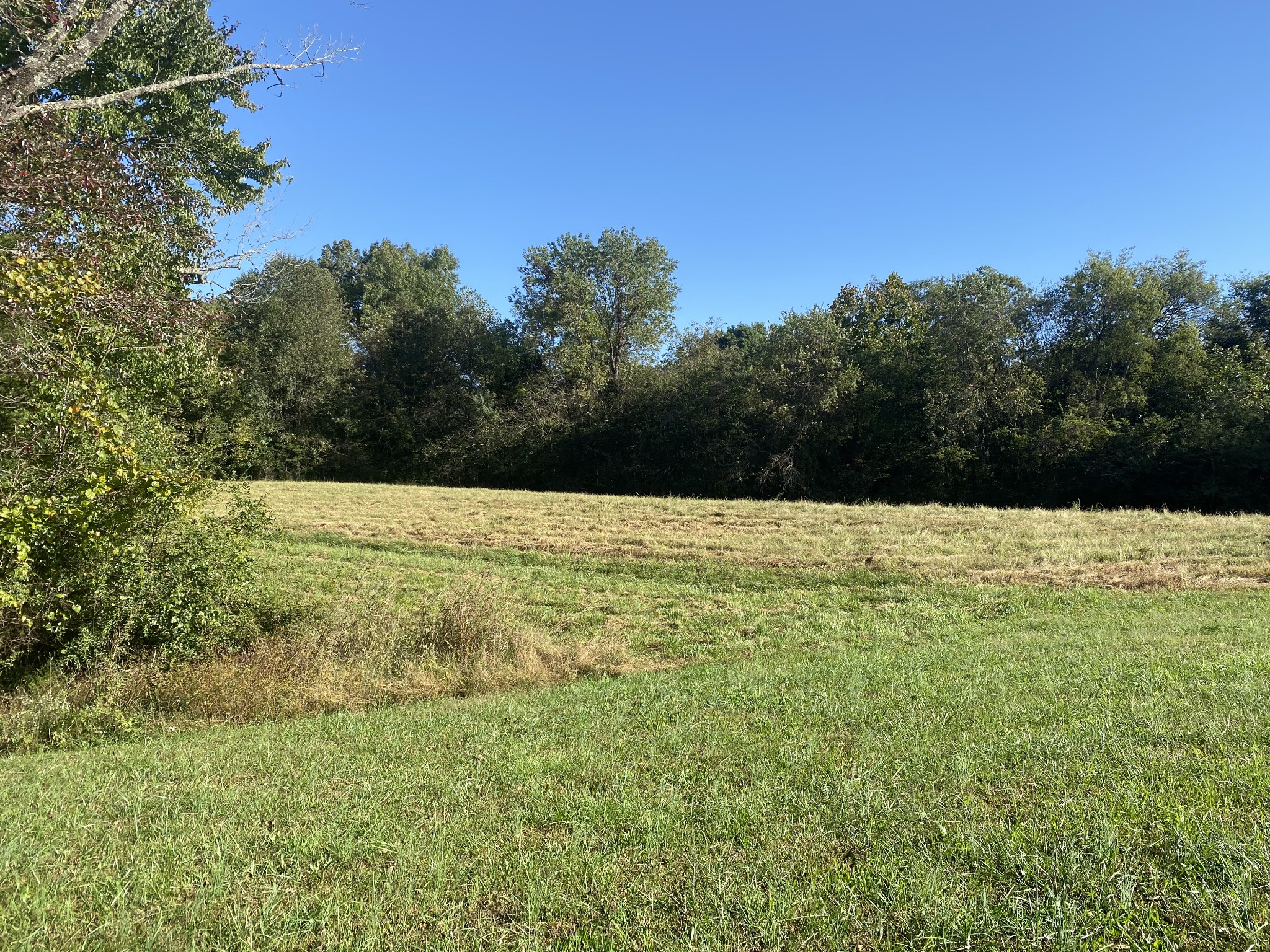 0 Dorris Road Portland, TN 37148 - Photo 6 of 24 a view of an outdoor space and a yard