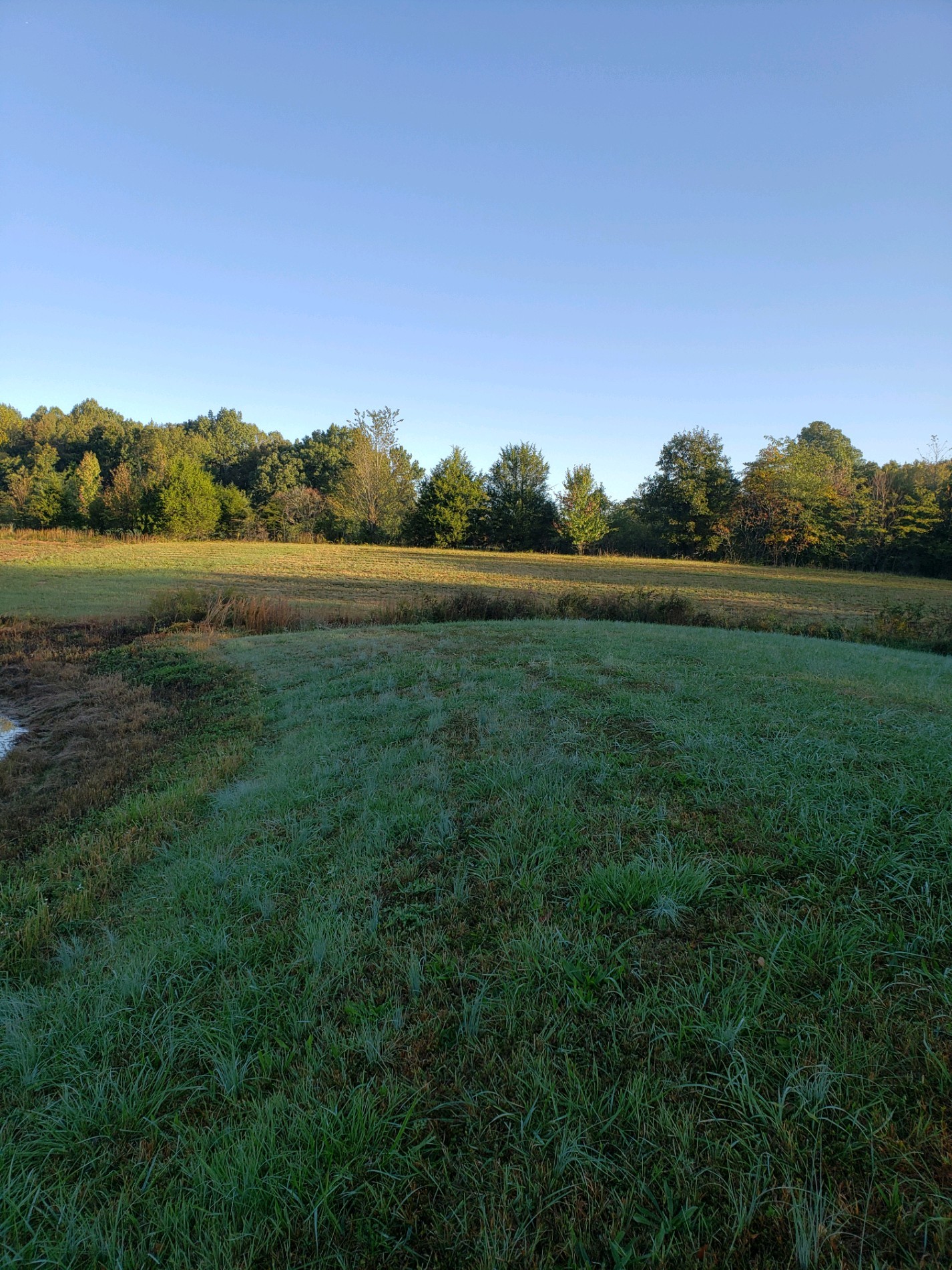 0 Dorris Road Portland, TN 37148 - Photo 9 of 24 a view of lake with green space