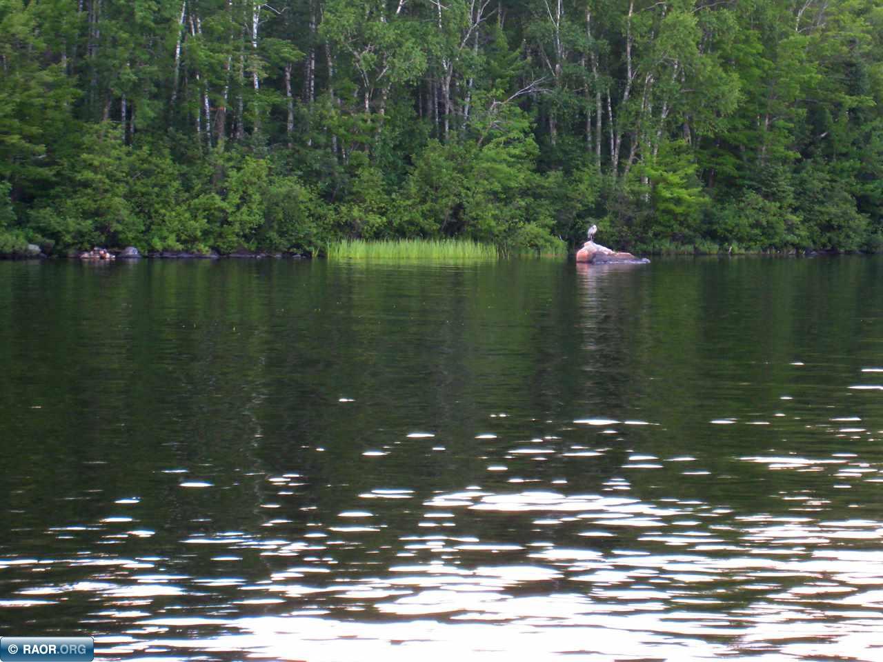 Lot 2 Yahoo Point Road Orr, MN 55771 - Photo 13 of 13 Gallery Image 13