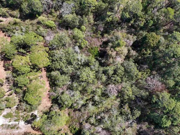 $80,000 | Vacant Northwest 3rd Street, Carrabelle, FL 32322