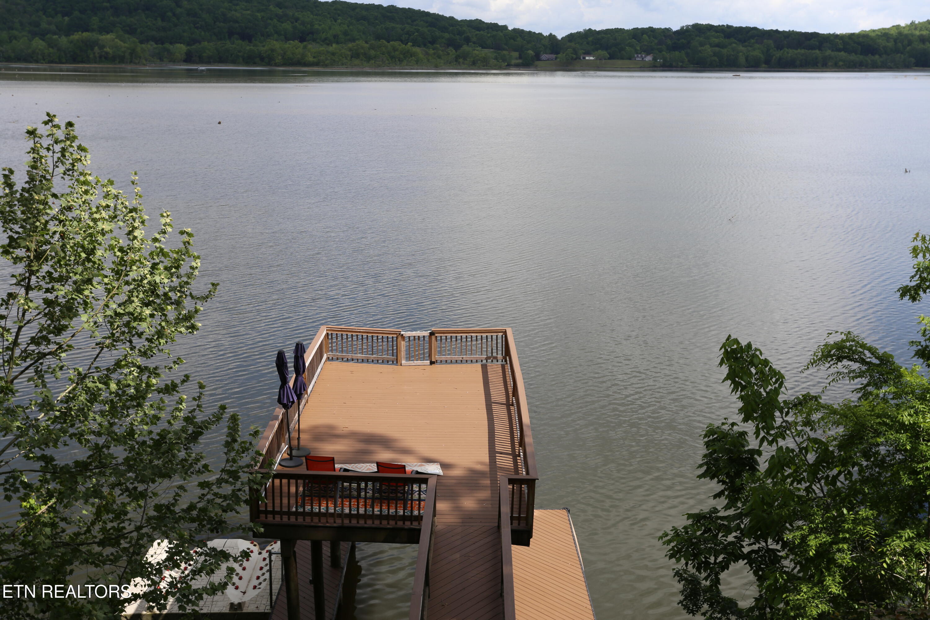 115 Dabbs Drive Spring City, TN 37381 - Photo 51 of 56 79