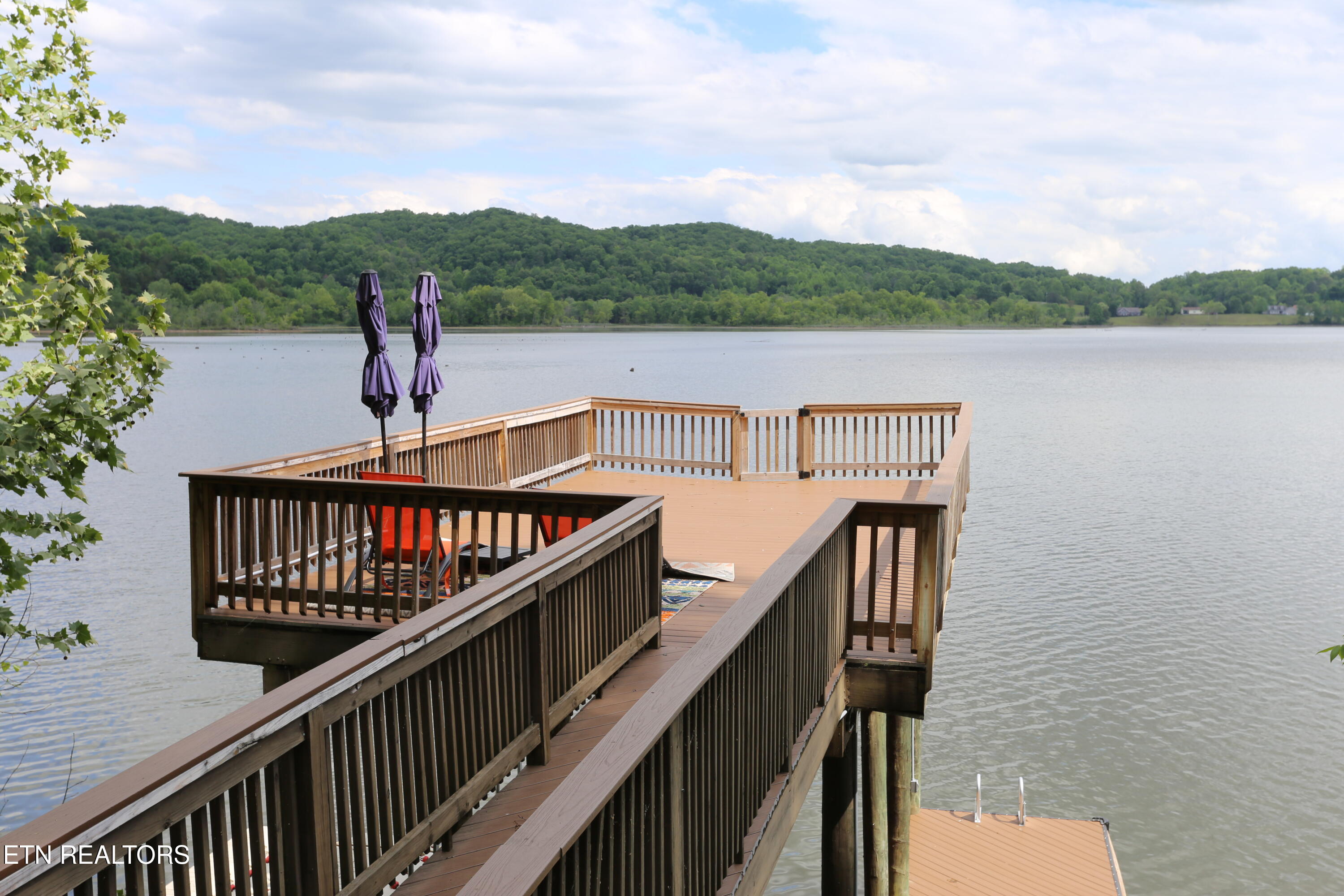 115 Dabbs Drive Spring City, TN 37381 - Photo 52 of 56 80