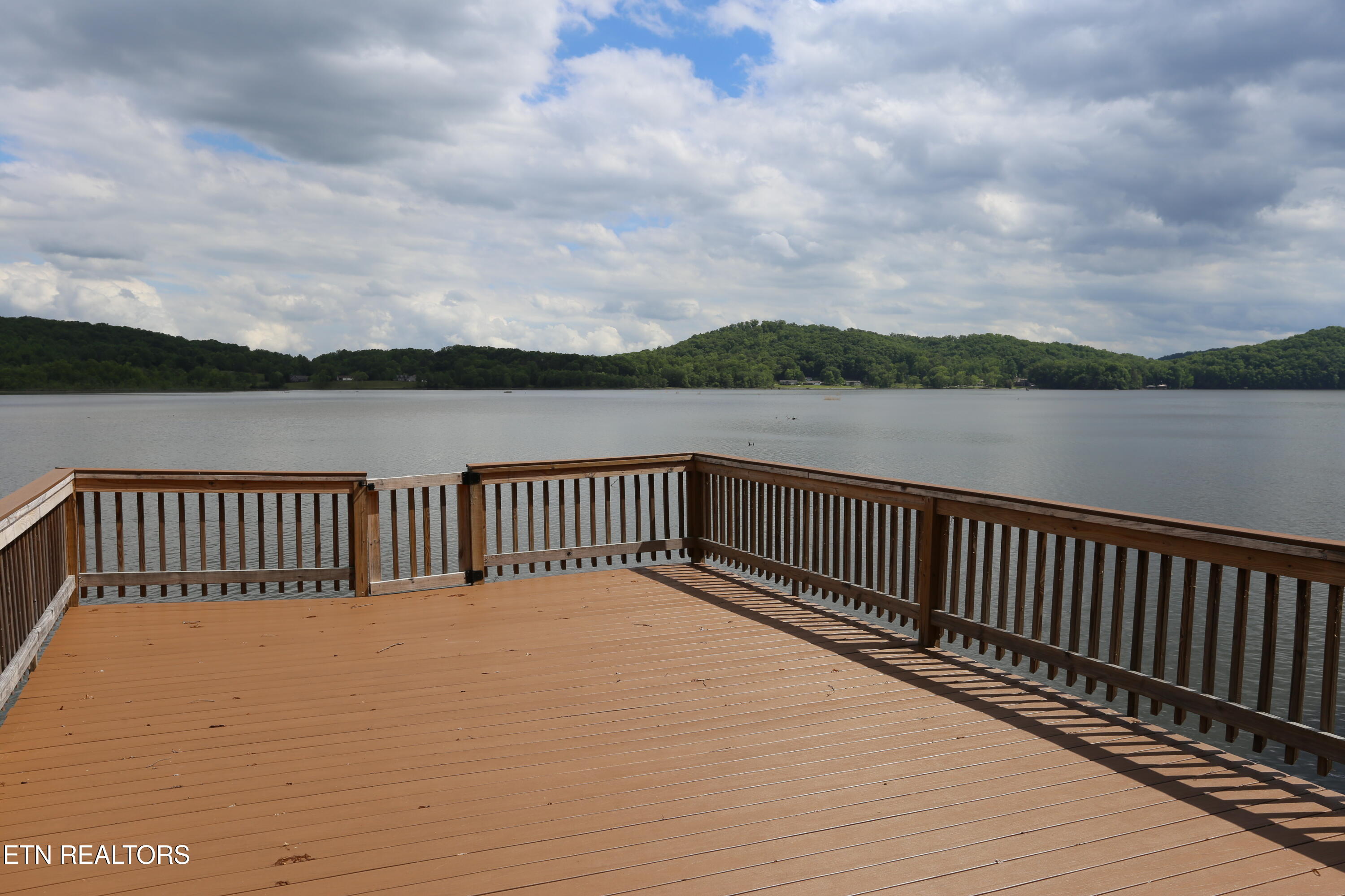 115 Dabbs Drive Spring City, TN 37381 - Photo 53 of 56 81
