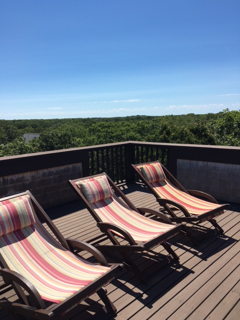 19 West Farm Road West Tisbury, MA 02568 - Photo 61 of 65 Gallery Image 61