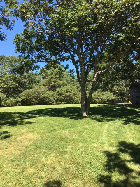 19 West Farm Road West Tisbury, MA 02568 - Photo 64 of 65 Gallery Image 64