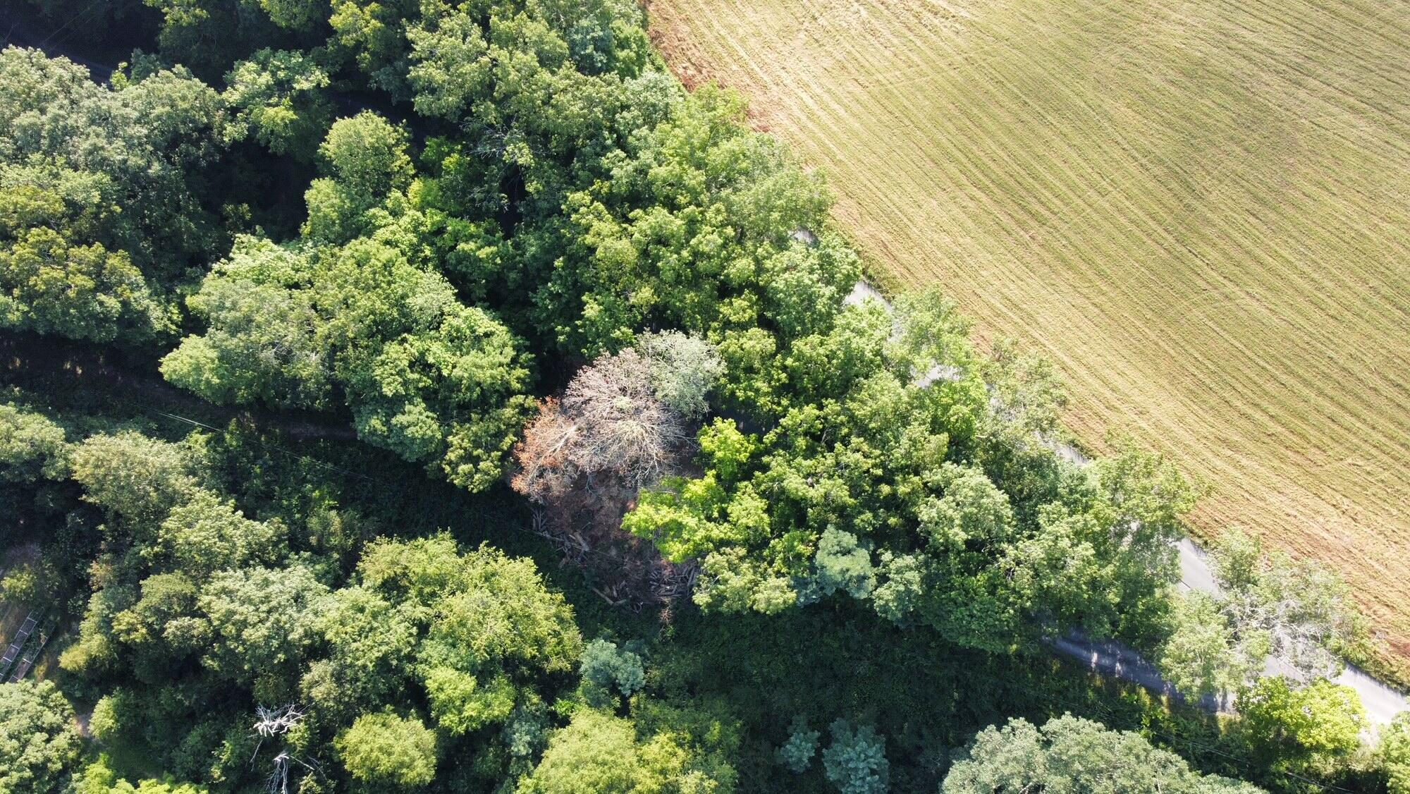 Coleman Cliff Road Frankford, WV 24938 - Photo 45 of 49 Gallery Image 45