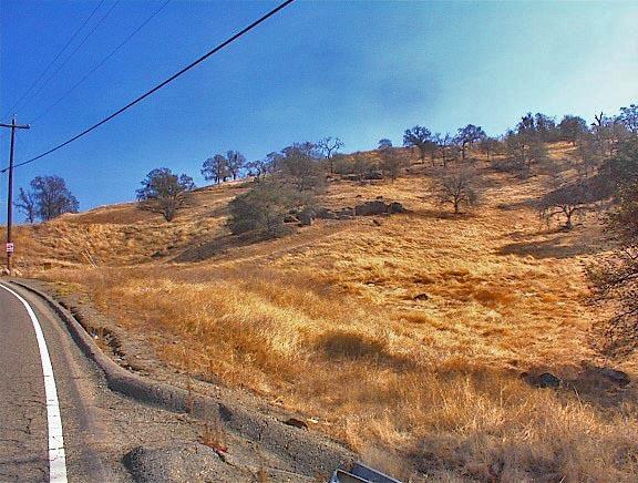 34351 George Smith Road Squaw Valley, CA 93675 - Photo 1 of 22 Gallery Image 1