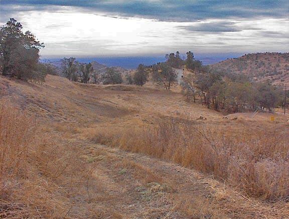 34351 George Smith Road Squaw Valley, CA 93675 - Photo 19 of 22 Gallery Image 19