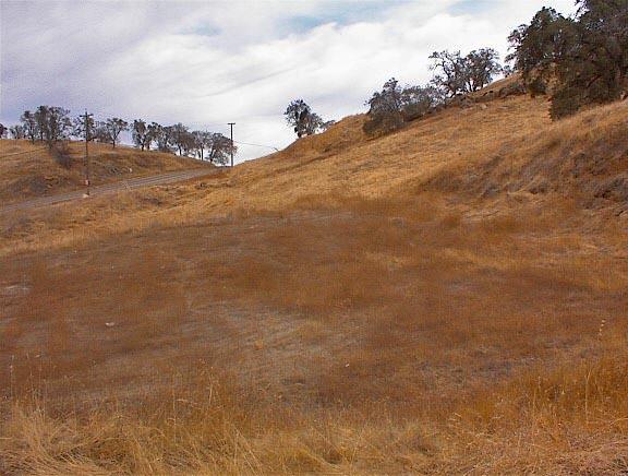 34351 George Smith Road Squaw Valley, CA 93675 - Photo 21 of 22 Gallery Image 21