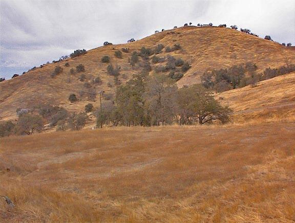 34351 George Smith Road Squaw Valley, CA 93675 - Photo 22 of 22 Gallery Image 22
