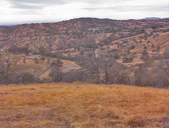 34351 George Smith Road Squaw Valley, CA 93675 - Photo 10 of 22 Gallery Image 10
