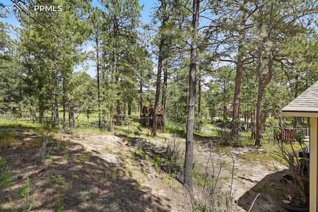 7030 Baker Road Colorado Springs, CO 80908 - Photo 13 of 44
