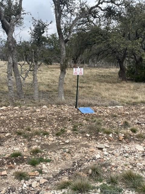 Lot 2 Scott Branch Road, Unit 2 Harper, TX 78631 - Photo 6 of 6 Gallery Image 6