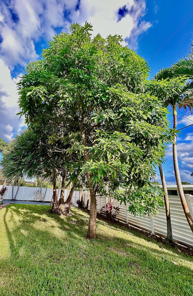 5408 Jackson Street Hollywood, FL 33021 - Photo 38 of 42 a view of a backyard with swimming pool