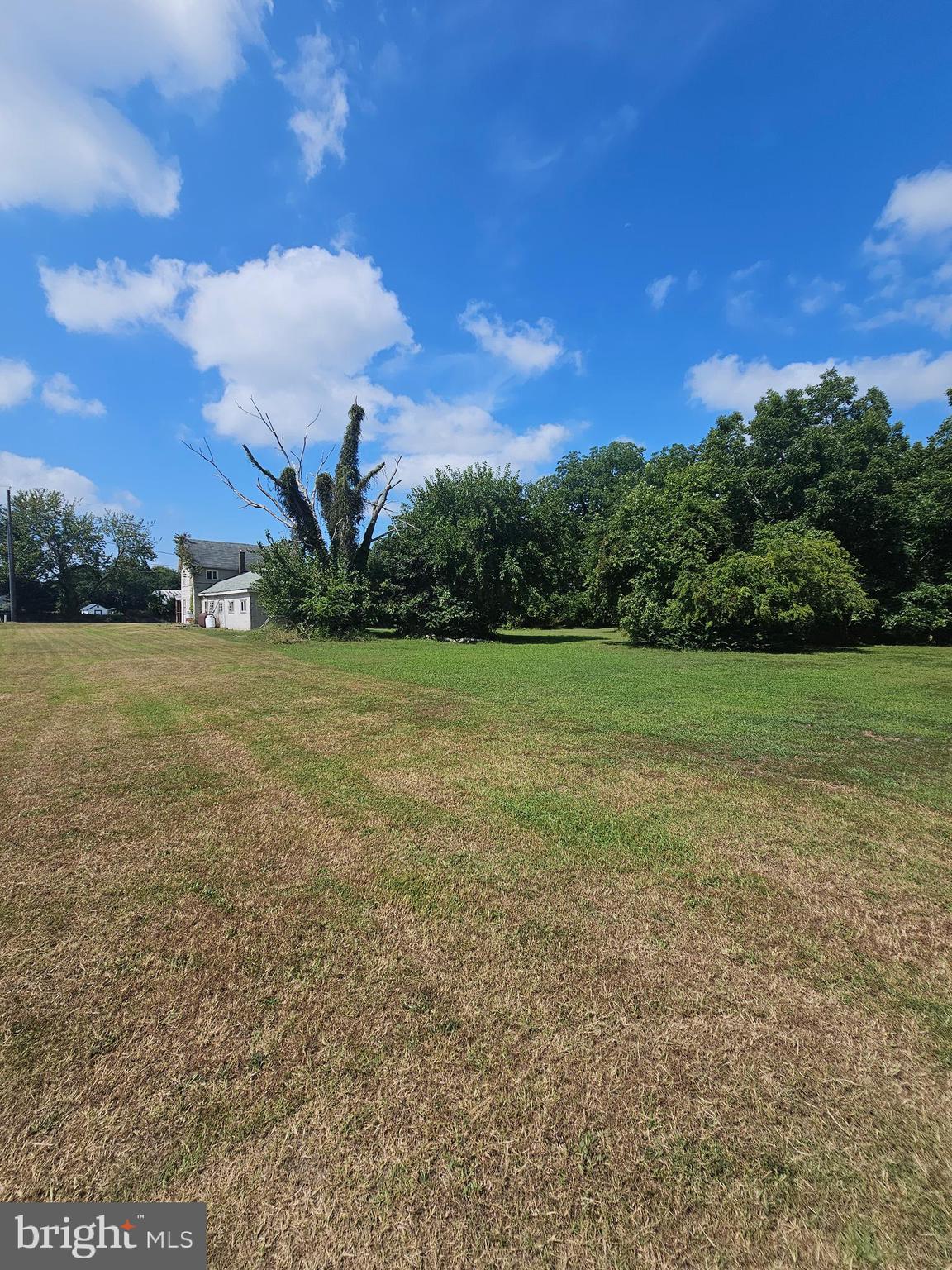 2695 Elsey Road Nanticoke, MD 21840 - Photo 6 of 46 a view of a field with an trees in the background