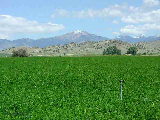 Lot 14 Mountain View Road Sheridan, MT 59749 - Photo 1 of 1 Gallery Image 1