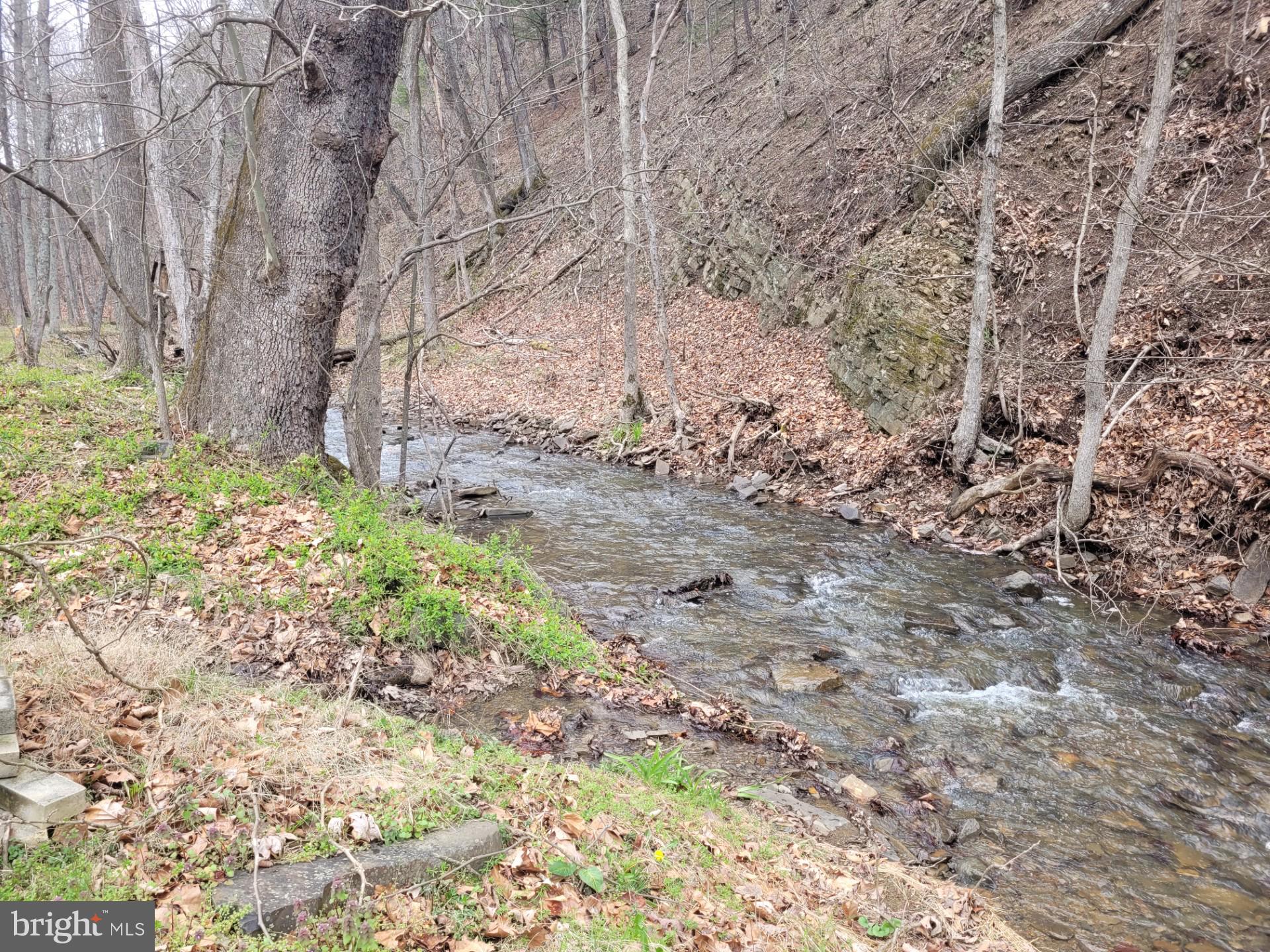1224 Dry Run Road Burlington, WV 26710 - Photo 11 of 40