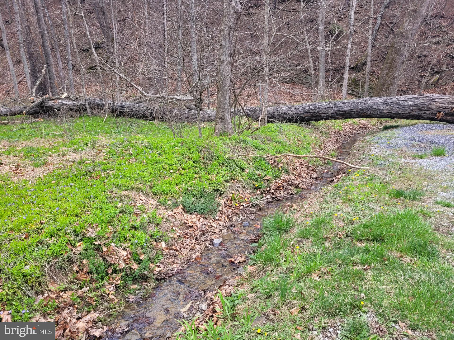 1224 Dry Run Road Burlington, WV 26710 - Photo 29 of 40
