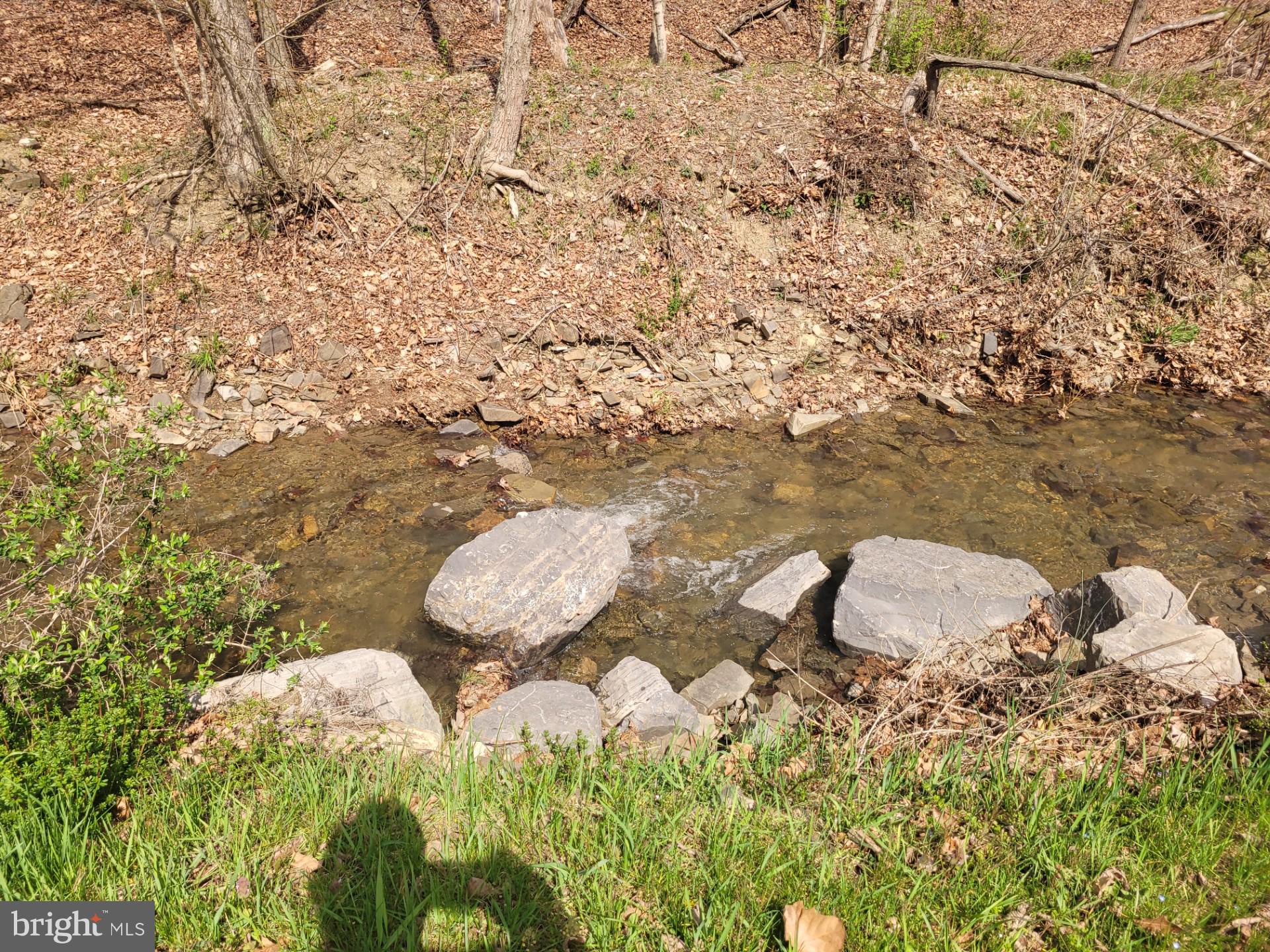 1224 Dry Run Road Burlington, WV 26710 - Photo 37 of 40