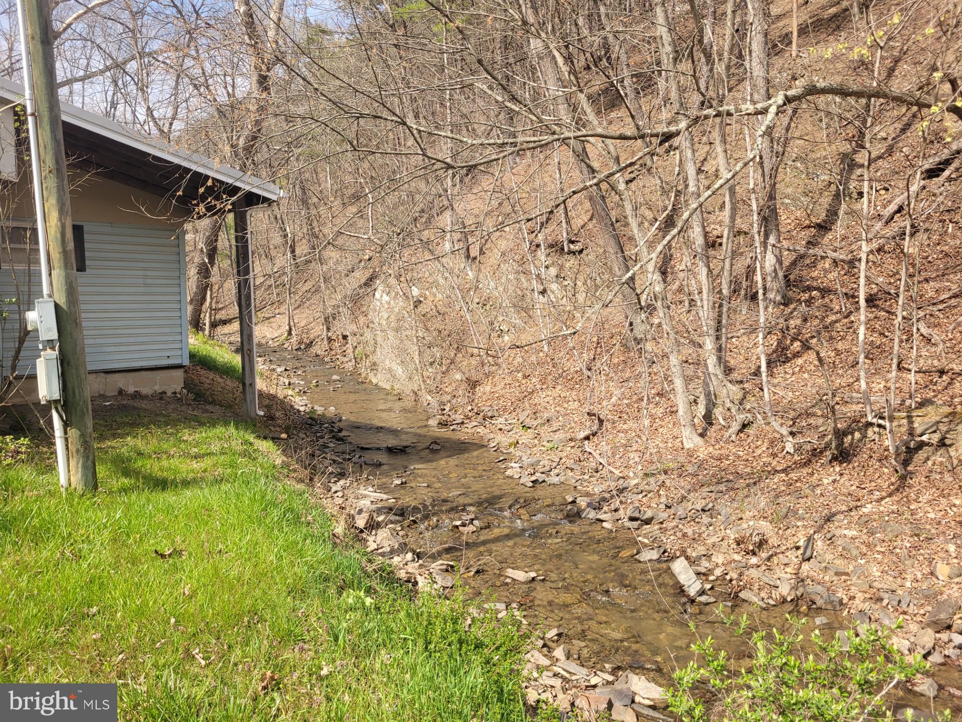 1224 Dry Run Road Burlington, WV 26710 - Photo 6 of 40 STREAM OUT BACK