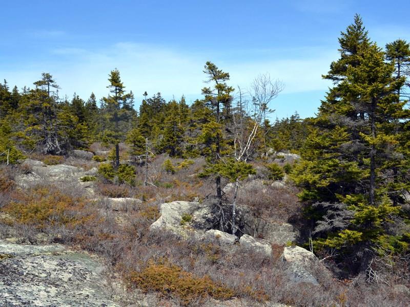 230 Minturn Road Swans Island, ME 04685 - Photo 17 of 18 Granite outcroppings.