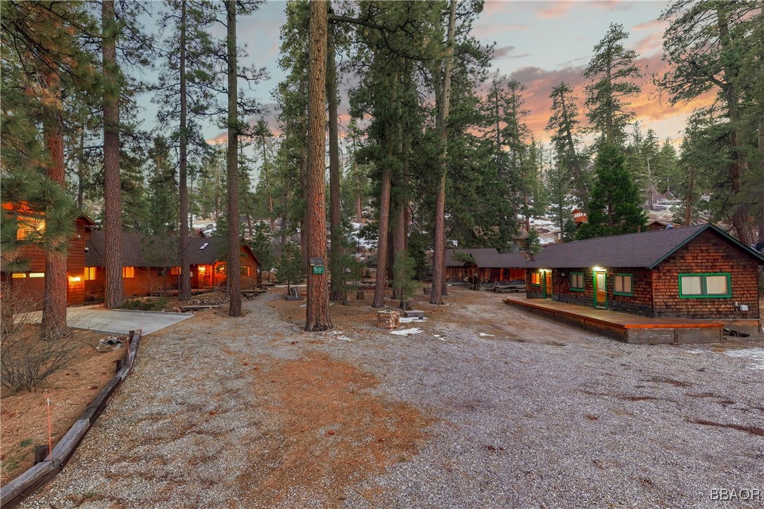 39585 Lakeview Pines Road Big Bear Lake, CA 92315 - Photo 2 of 49 a dirt road with trees in the background