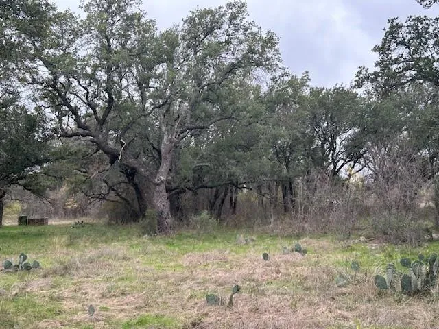 a view of a lake view