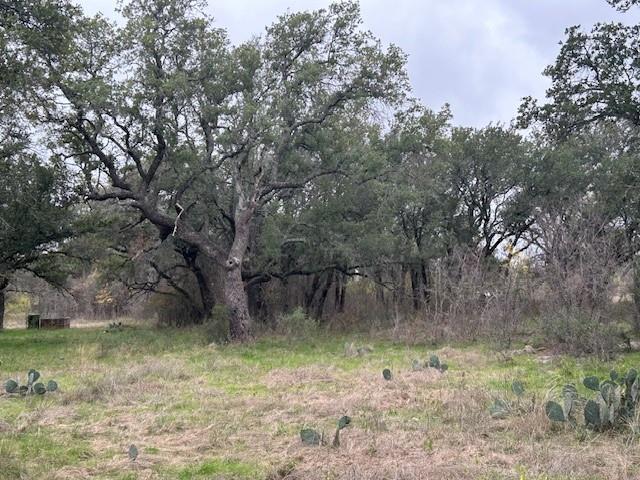 1000 Homestead Drive Rochelle, TX 76872 - Photo 11 of 34 a view of a lake view