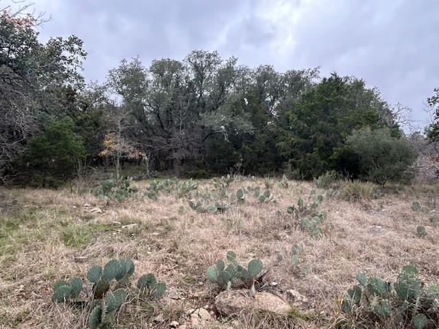 1000 Homestead Drive Rochelle, TX 76872 - Photo 14 of 34 a view of backyard with green space