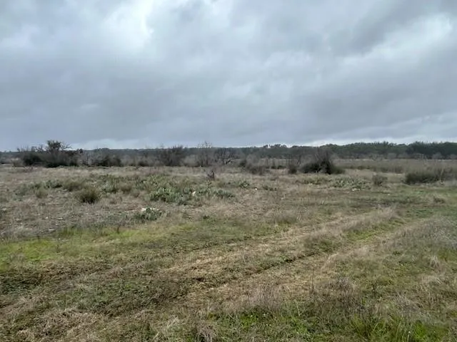 a view of a dry field covered with fog