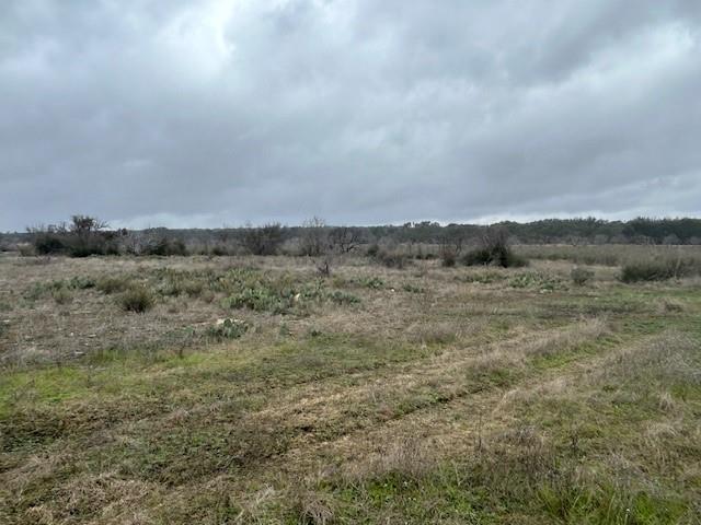 1000 Homestead Drive Rochelle, TX 76872 - Photo 15 of 34 a view of a dry field covered with fog