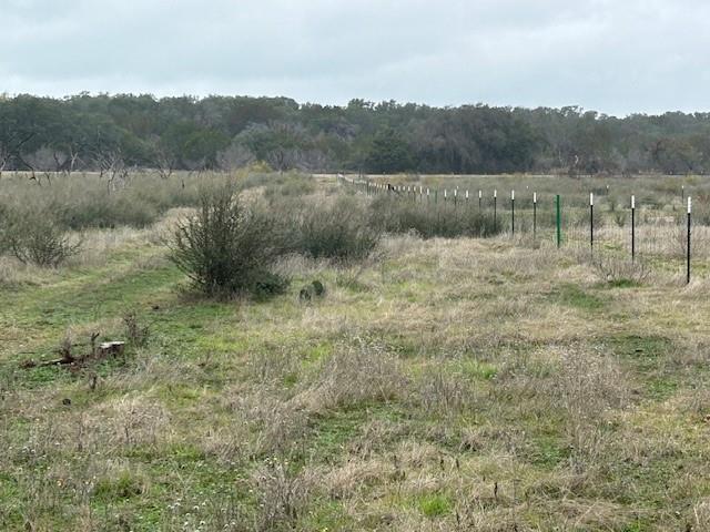 1000 Homestead Drive Rochelle, TX 76872 - Photo 16 of 34 a view of a lake with trees in the background