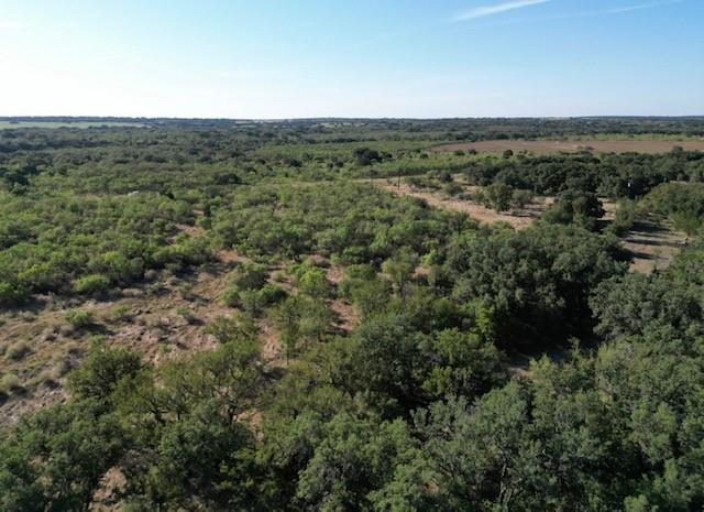 1000 Homestead Drive Rochelle, TX 76872 - Photo 17 of 34 a view of a city