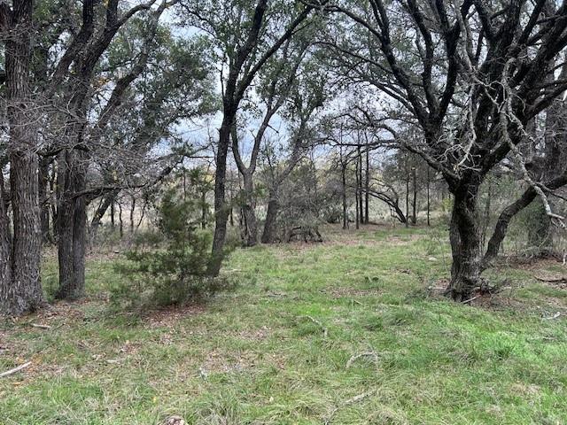 1000 Homestead Drive Rochelle, TX 76872 - Photo 18 of 34 a view of outdoor space and trees