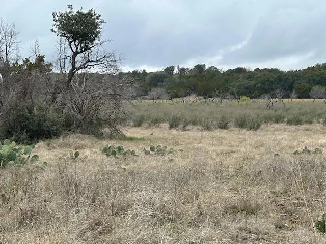a view of a open space with green field and trees