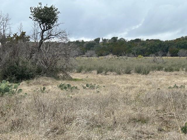 1000 Homestead Drive Rochelle, TX 76872 - Photo 19 of 34 a view of a open space with green field and trees