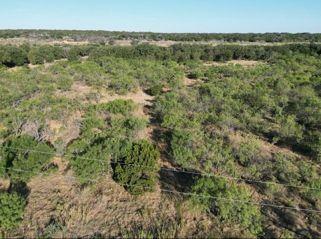 1000 Homestead Drive Rochelle, TX 76872 - Photo 20 of 34 a view of a forest with a street