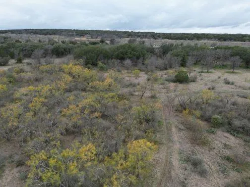 an aerial view of forest