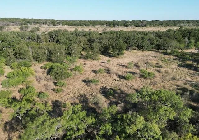 an aerial view of forest