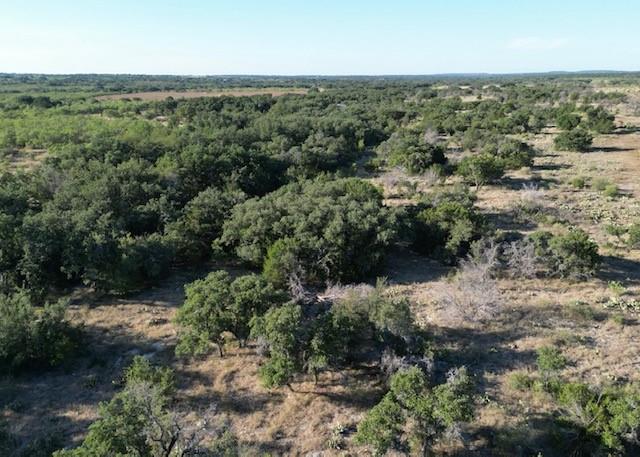 1000 Homestead Drive Rochelle, TX 76872 - Photo 26 of 34 an aerial view of forest