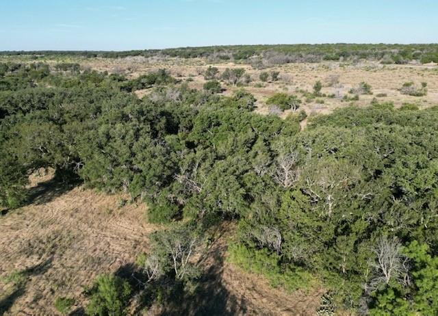 1000 Homestead Drive Rochelle, TX 76872 - Photo 27 of 34 a view of a city with lush green forest