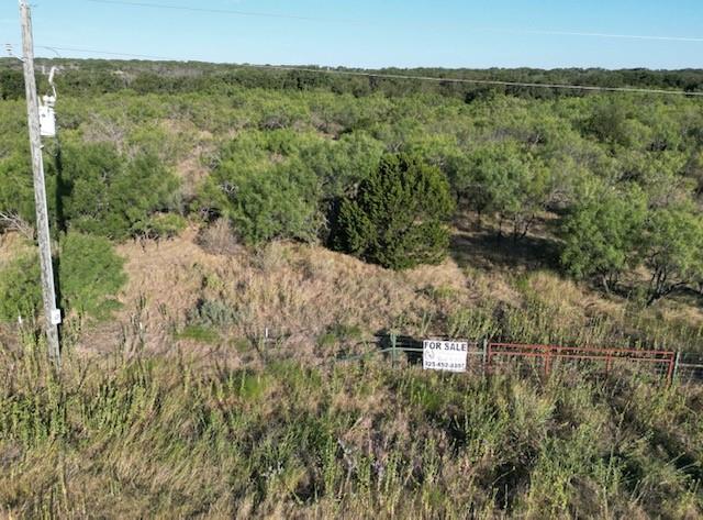 1000 Homestead Drive Rochelle, TX 76872 - Photo 32 of 34 a view of a lake with a mountain and trees
