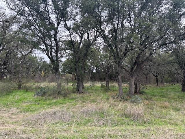 1000 Homestead Drive Rochelle, TX 76872 - Photo 4 of 34 a view of some trees in the yard