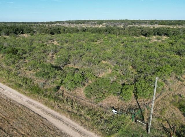 1000 Homestead Drive Rochelle, TX 76872 - Photo 6 of 34 a view of a city with lush green forest