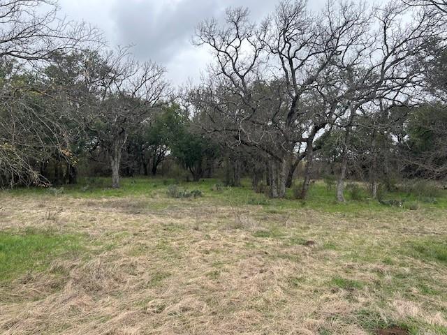 1000 Homestead Drive Rochelle, TX 76872 - Photo 9 of 34 a backyard of a house with lots of green space